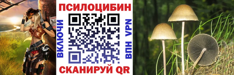 Галлюциногенные грибы MAGIC MUSHROOMS  дарк нет формула  Опочка 